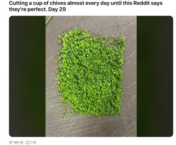 One Man's 70-Day Quest to Cut a Perfect Batch of Chives (reddit)