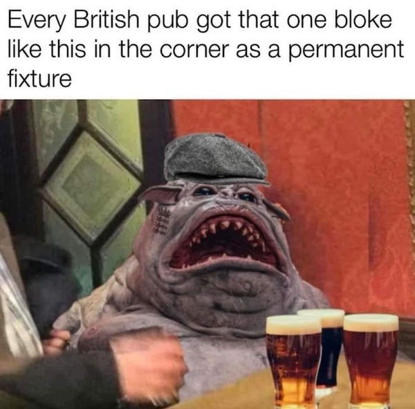 SPOT ON memes Funny Stupid Ideas Photo Captions of Dumb People Thought