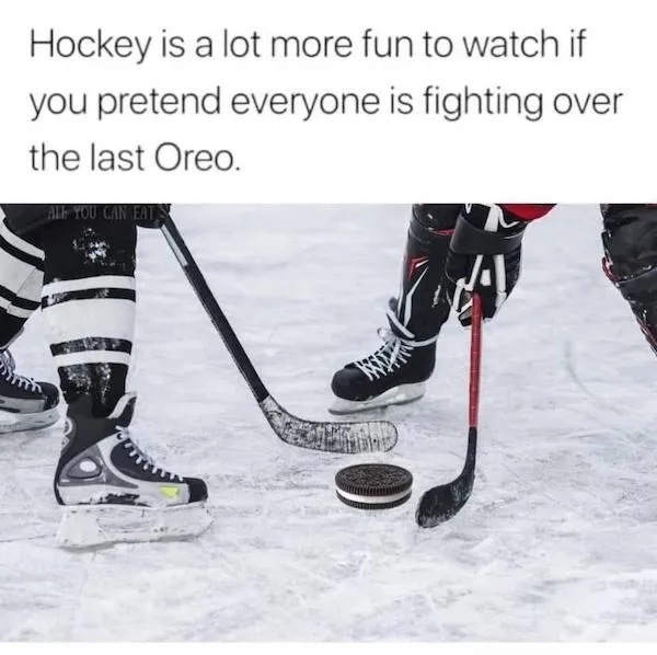 SPOT ON memes Funny Stupid Ideas Photo Captions of Dumb People Thought