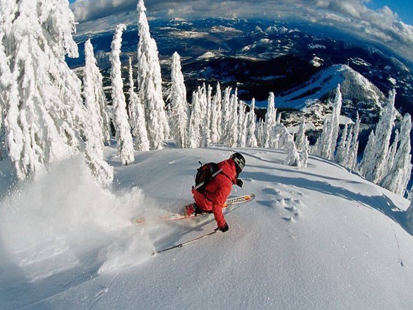 Weekend Afternoon Randomness