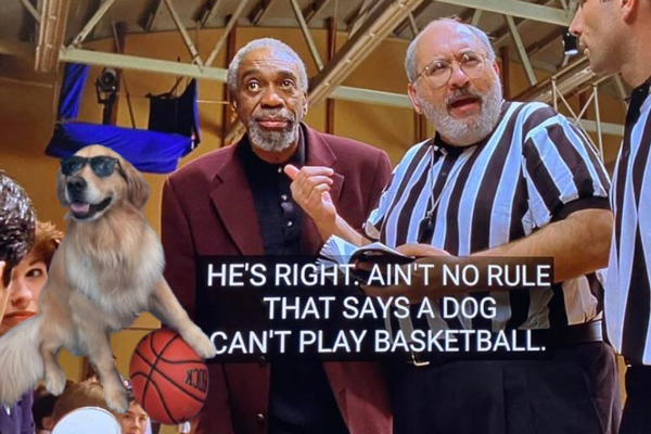 These Pets Wanted Their Air Bud Moment