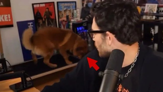 Live Fail Flash The Biggest Livestream Fails of All Time