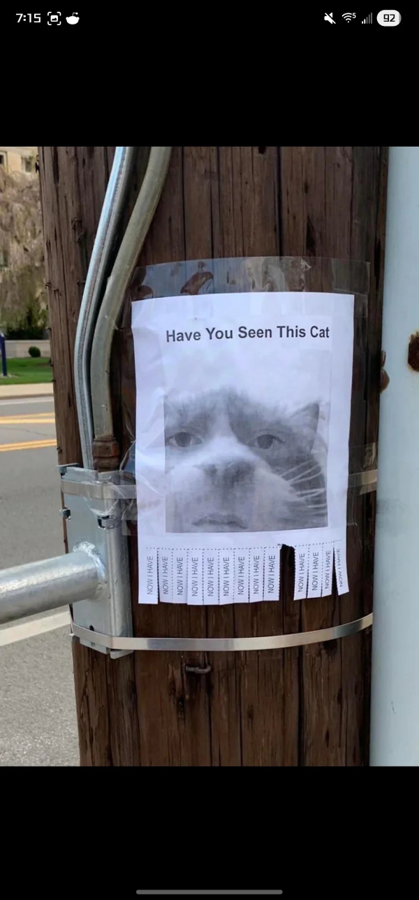 Blursed Images Are Here To Make You Go WTF?