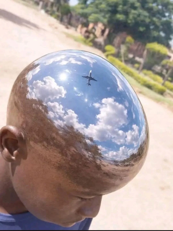 Blursed Images Are Here To Make You Go WTF?