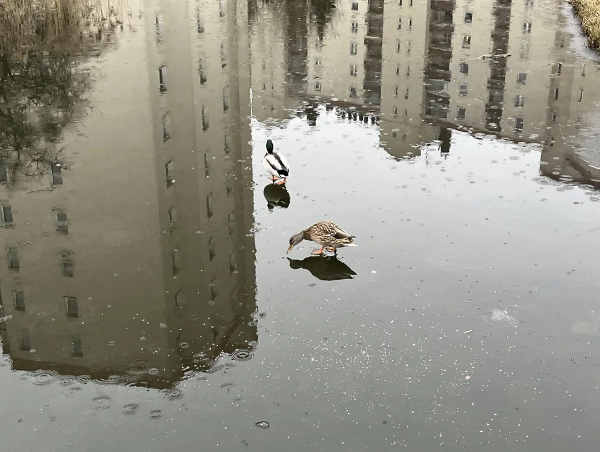 Confusing Perspective Photos Will Trip You Out