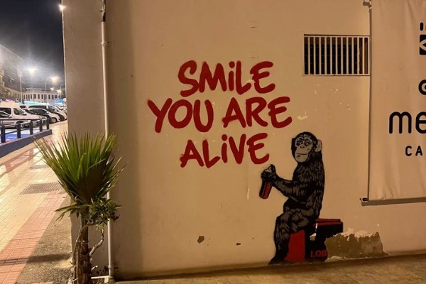 Daily Evening Randomness