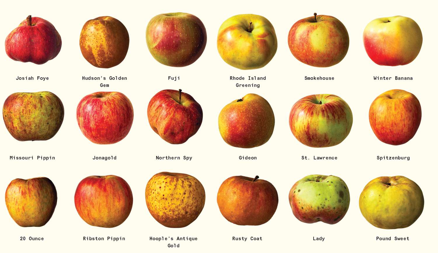 Foods That Look Completely Different Today