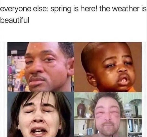 Crack Open the Garden Beers With These Springtime Memes