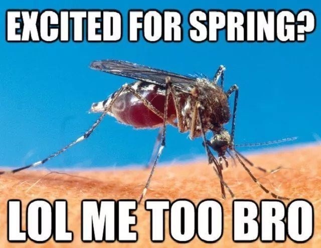 Crack Open the Garden Beers With These Springtime Memes