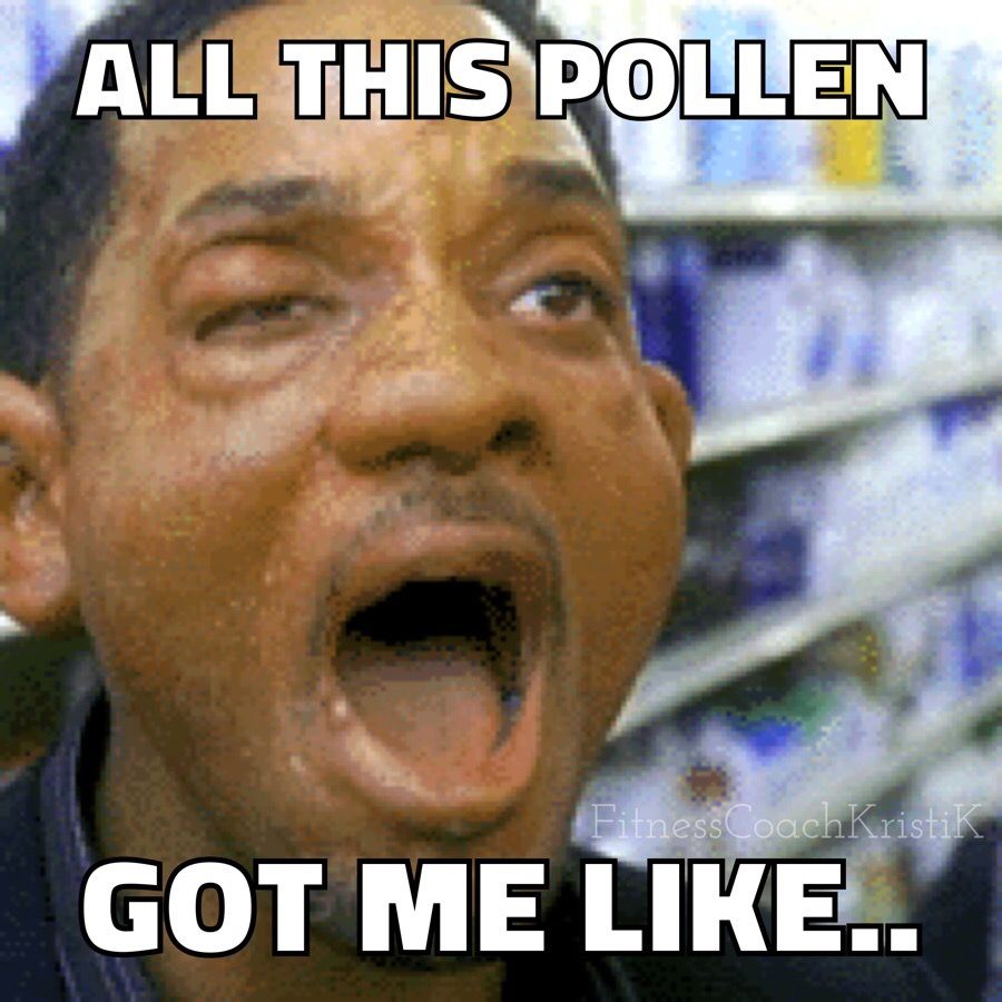 Crack Open the Garden Beers With These Springtime Memes