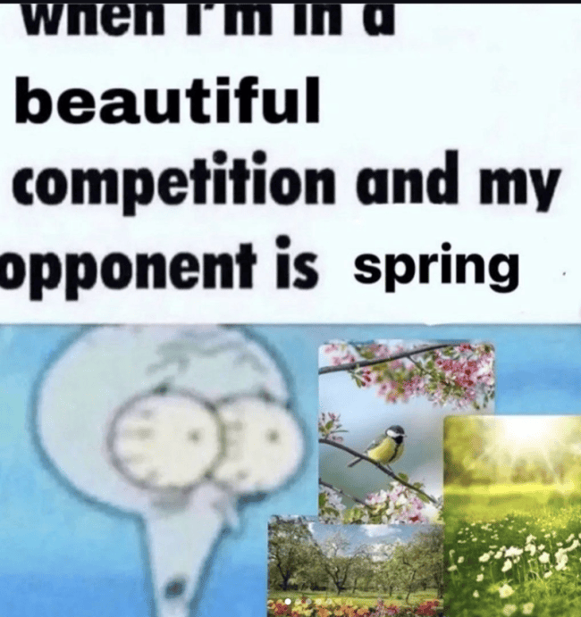 Submit Time Meme Spring Crack Open the Garden Beers With These Springtime Memes
