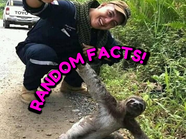 17 Totally Useless Random Facts