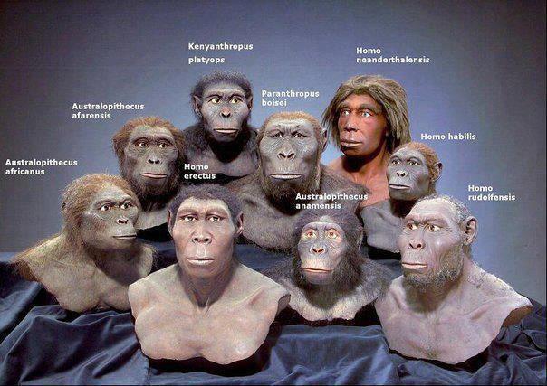 The Time Humans Almost Went Completely Extinct