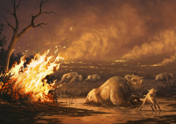 The Time Humans Almost Went Completely Extinct