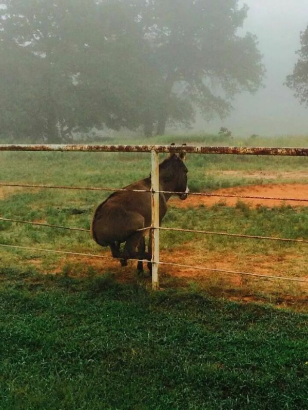 Daily Afternoon Randomness