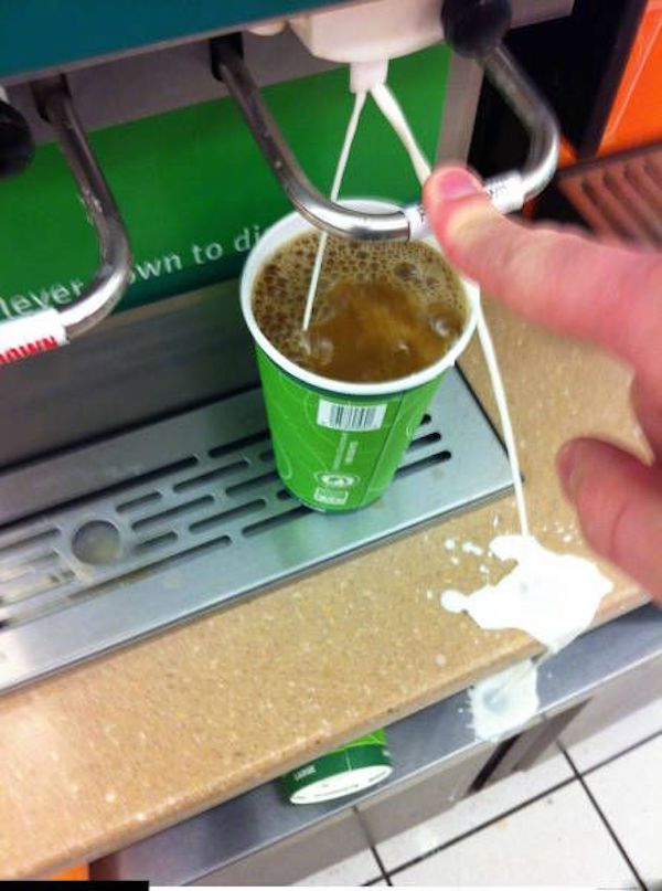 Daily Afternoon Randomness Best Funny Photos DAR