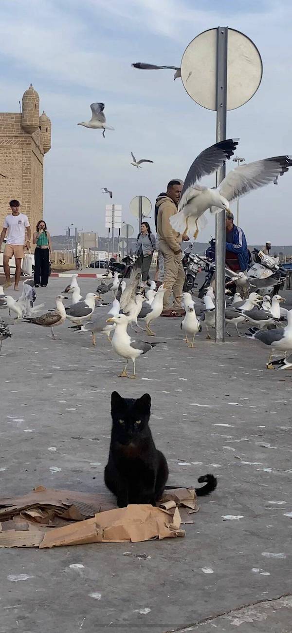 Daily Afternoon Randomness Best Funny Photos WTF Crazy People DAR
