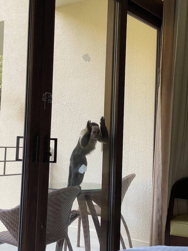 Daily Afternoon Randomness Best Funny Photos DAR