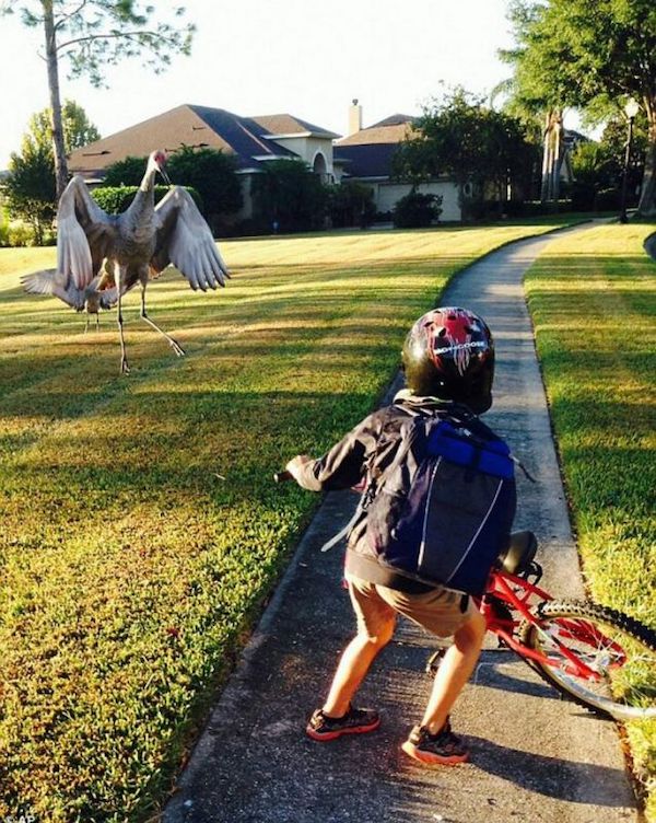 Daily Morning Awesomeness Best WTF Funny Pics and Amazing Randomness