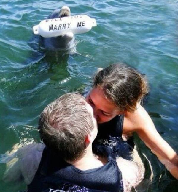 Daily Morning Awesomeness Best WTF Funny Pics DMA Amazing Randomness