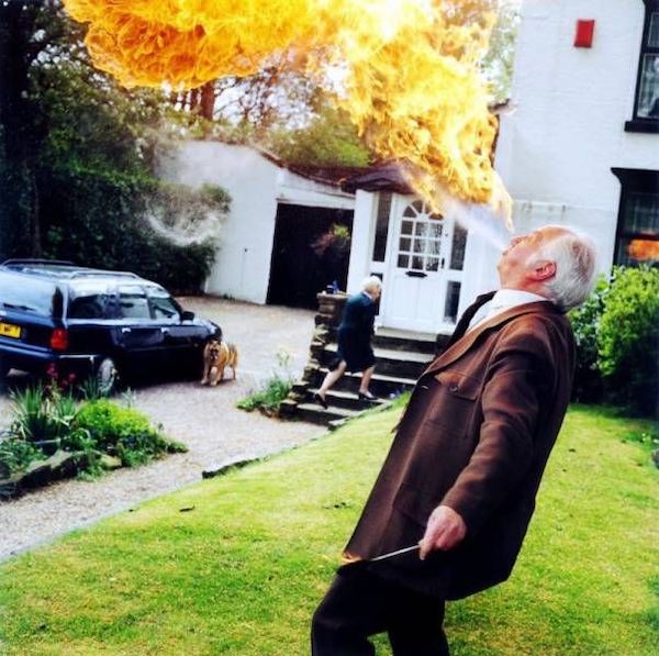 Daily Morning Awesomeness Best WTF Funny Pics DMA Amazing Randomness
