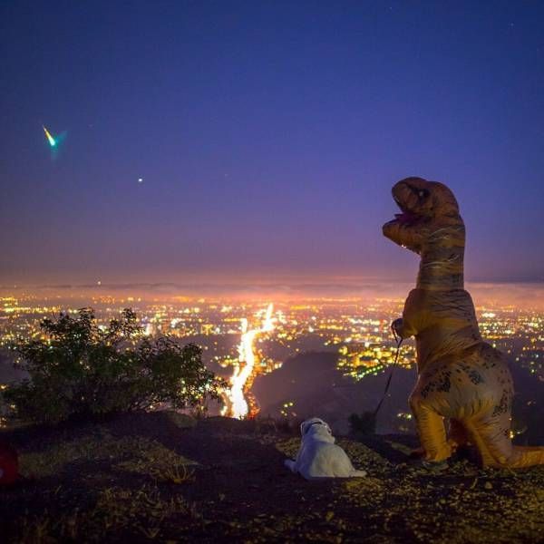Daily Morning Awesomeness Best WTF Funny Pics and Amazing Randomness