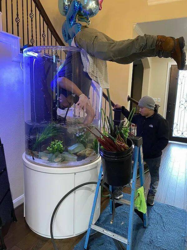 Daily Morning Awesomeness Best WTF Funny Pics and Amazing Randomness