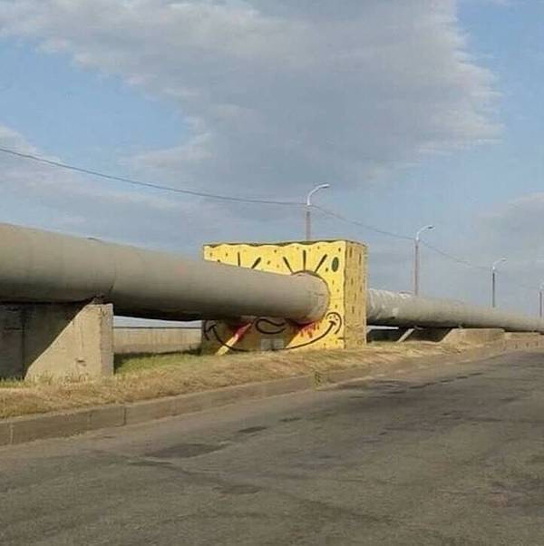 Daily Morning Awesomeness Best WTF Funny Pics DMA Amazing Randomness