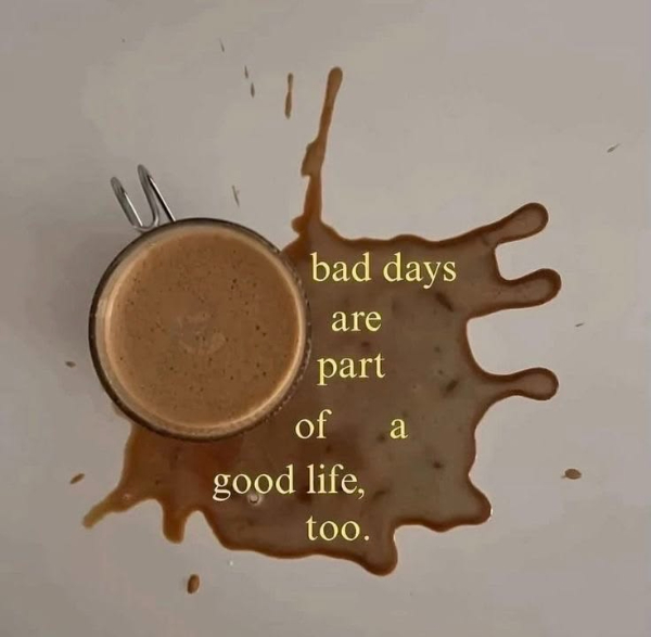 Daily Evening Randomness: Friday Motivation (May 15 2026)
