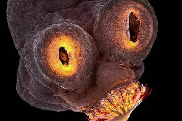 scary nature