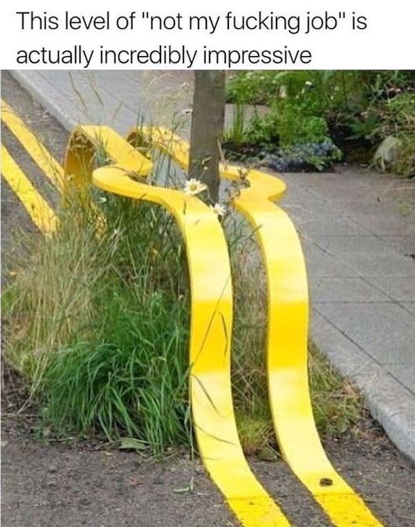 Mind-LESS Memes are Funny Stupid yet Too TRUE Top Humor Photo Captions