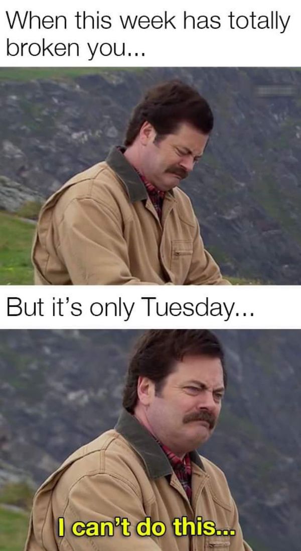Mind-LESS Memes are Funny Stupid yet Too TRUE Top Humor Photo Captions