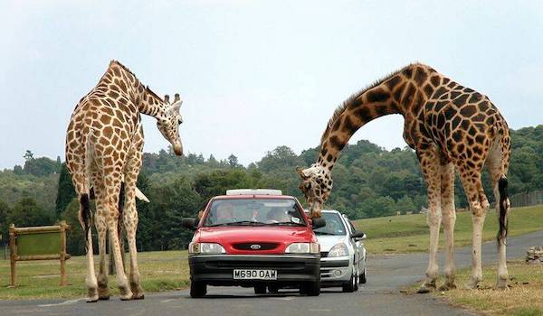 Weekend Afternoon Randomness Best Interesting and WTF Funny Photos