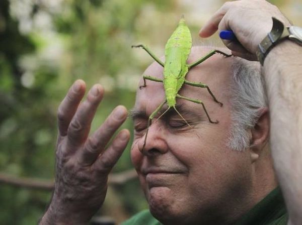 Weekend Afternoon Randomness Best Interesting and WTF Funny Photos