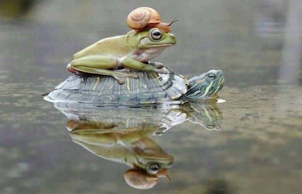 Weekend Afternoon Randomness Best Interesting and WTF Funny Photos