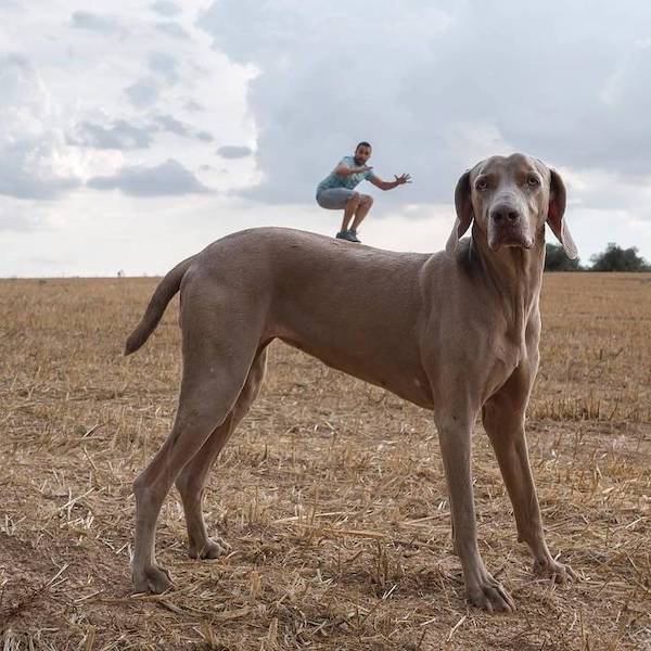 Weekend Afternoon Randomness Best Interesting and WTF Funny Photos