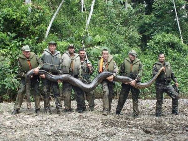 Weekend Afternoon Randomness Best Interesting and WTF Funny Photos