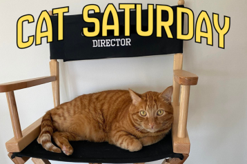 cat saturday (11)