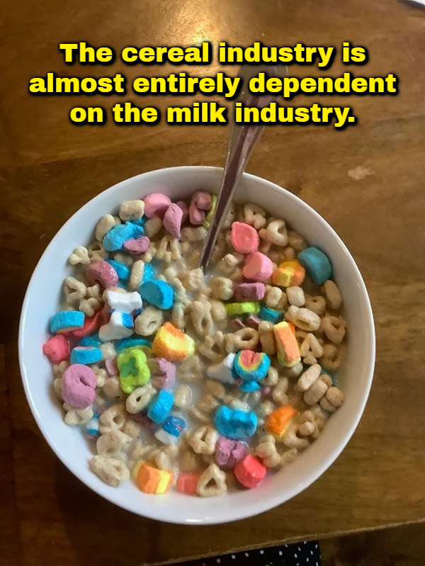 A bowl of Lucky Charms cereal relating to funny shower thoughts
