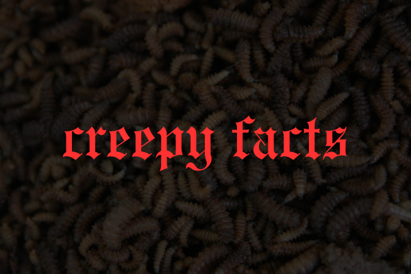 Creepy Facts That Will Chill You To The Bone