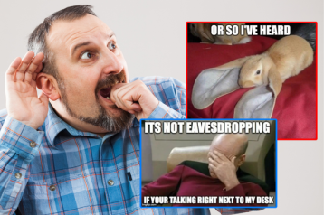 funny overheard