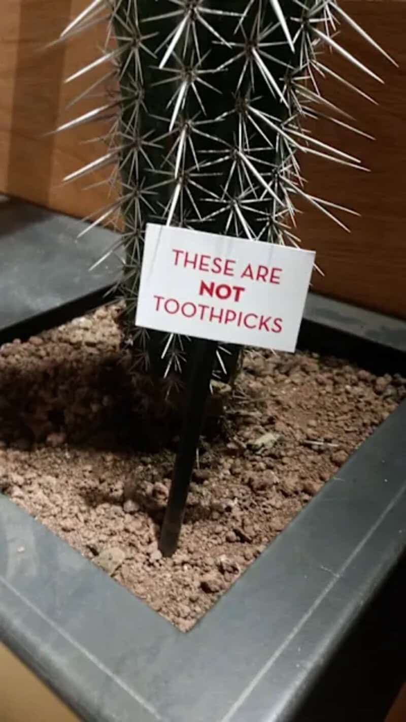 Wildly Specific Signs That Make You Wonder, 