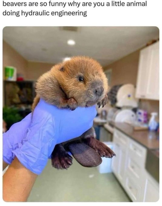 Monday Morning Memes 21