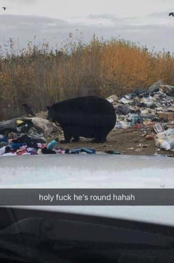 Non-Educational Memes About The Body (memes, funny, body)
