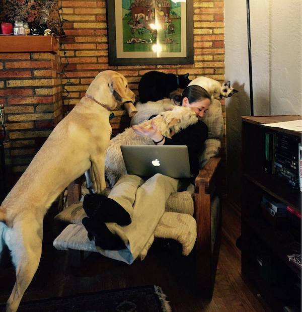 Daily Afternoon Randomness Best Funny Photos DAR
