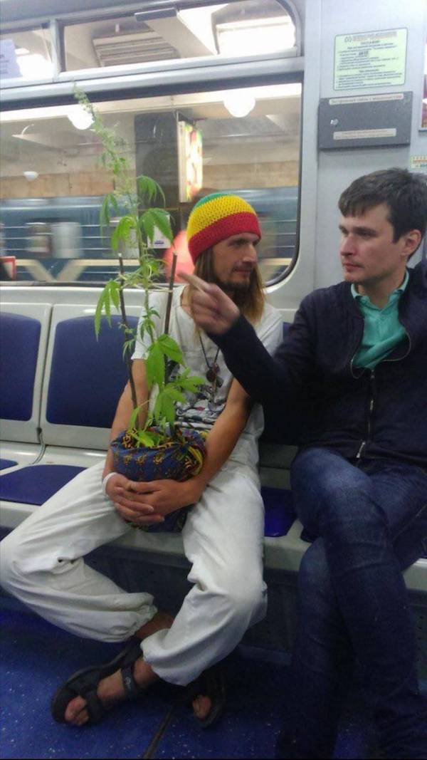 Daily Afternoon Randomness Best Funny Photos DAR