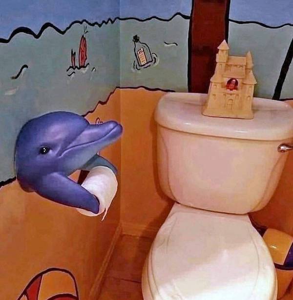 Daily Afternoon Randomness Best Funny Photos WTF Crazy People DAR