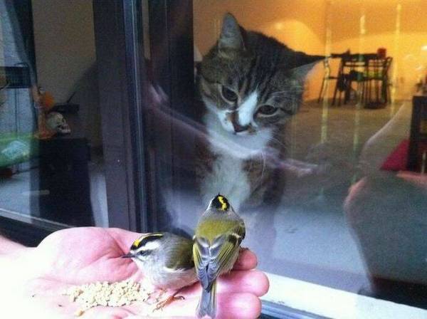 Daily Afternoon Randomness Best Funny Photos WTF Crazy People DAR