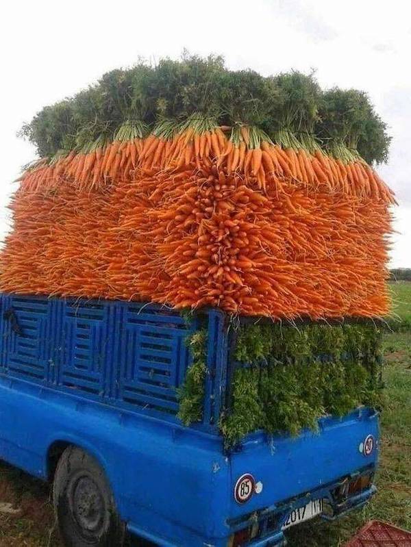 Daily Afternoon Randomness Best Funny Photos WTF Crazy People DAR