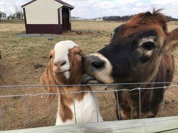 Weekend Afternoon Randomness Best Interesting and WTF Funny Photos